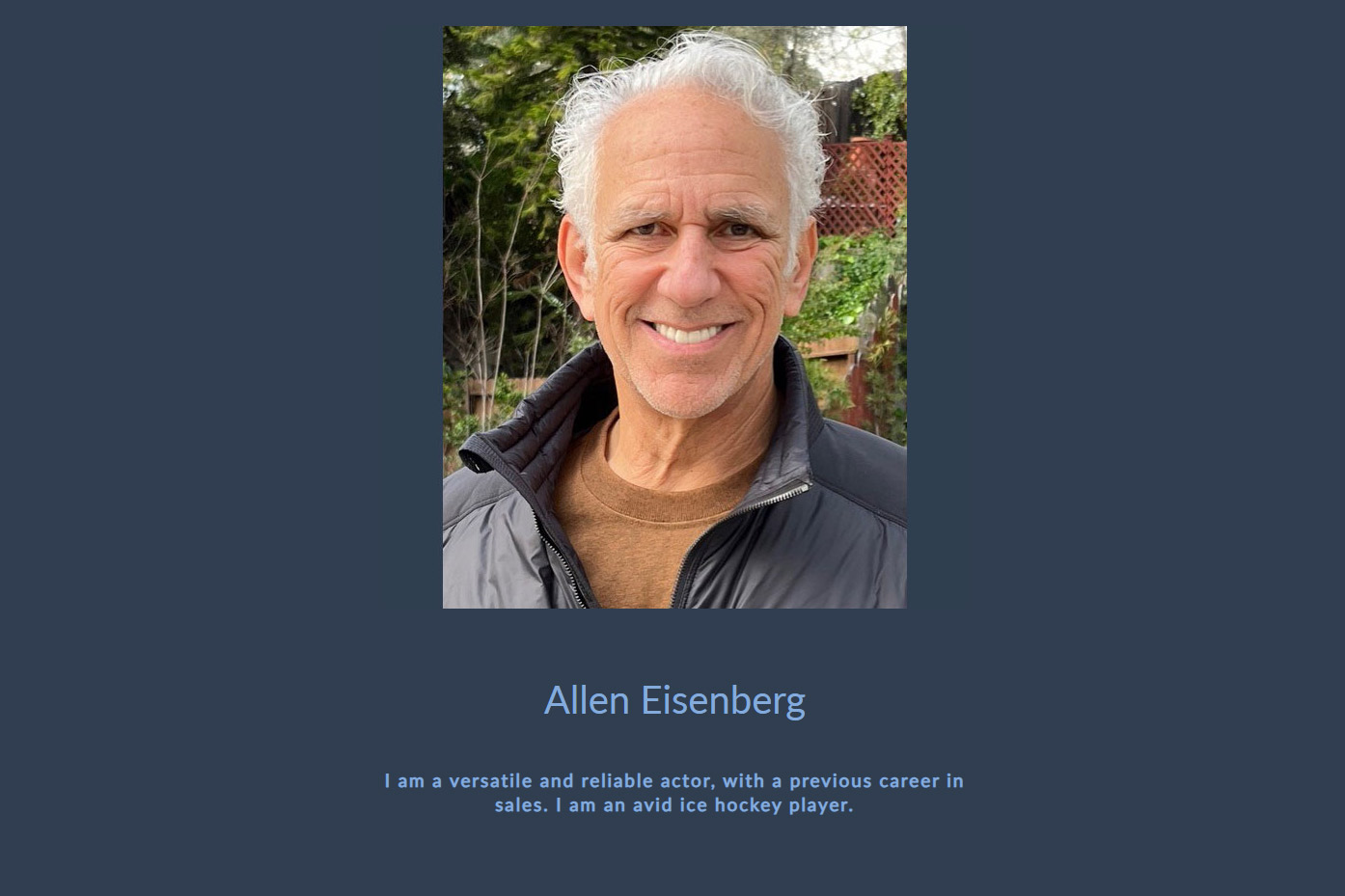 Allen Eisenberg website by Mesa Multimedia