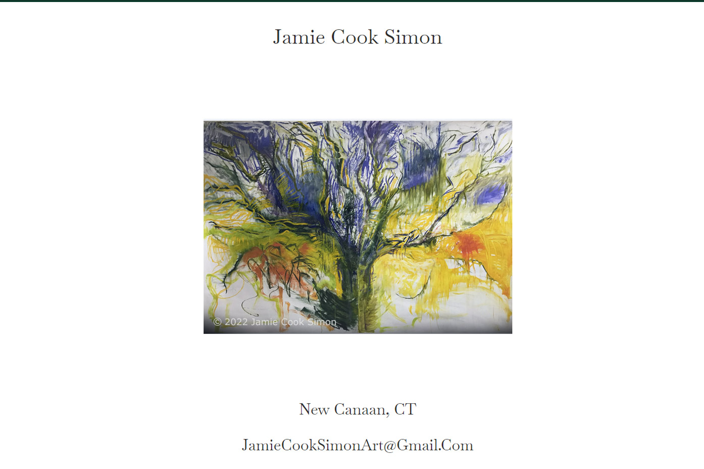 Jamie Cook Simon website by Mesa Multimedia