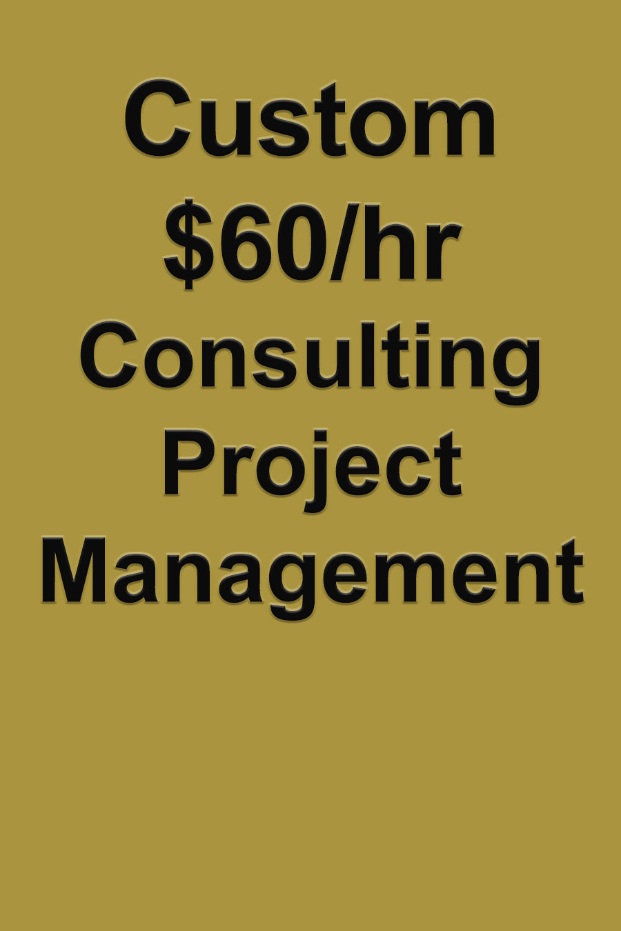 $60/hr Consulting Project Management